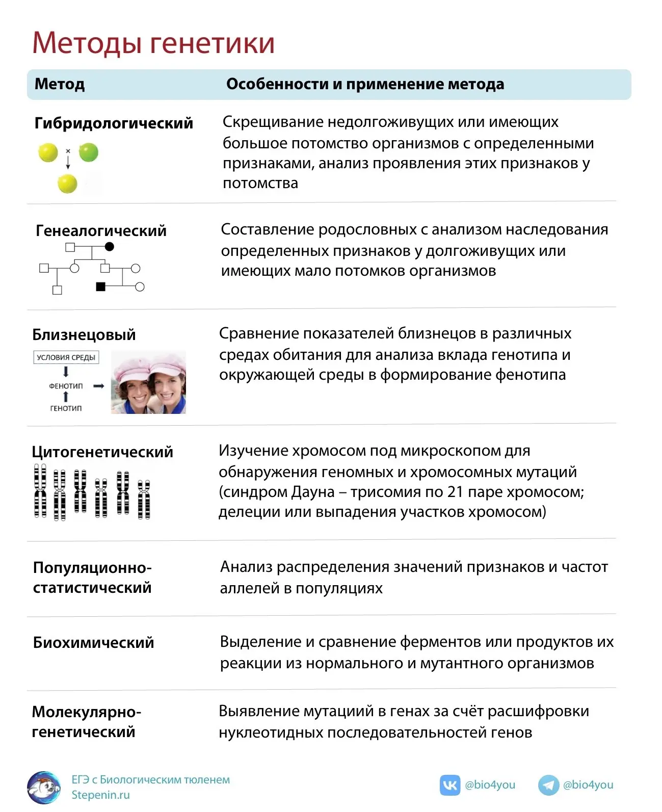 Рассматриваем методы генетики для задания №1 ЕГЭ по биологии 🧬