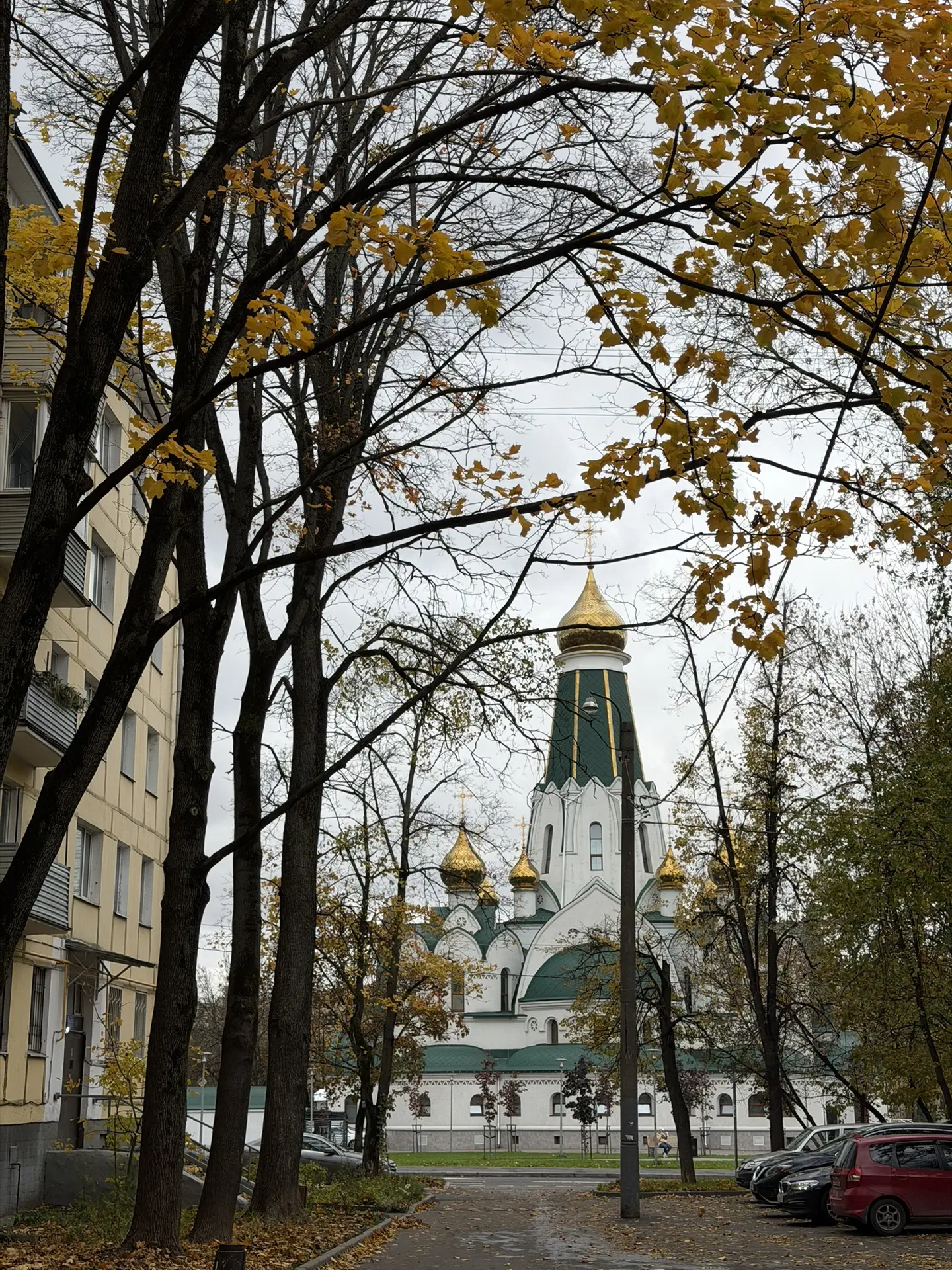 Насобирала в телефоне кадры последних дней, «выжимаю» позитив как могу 😱, потому что н...