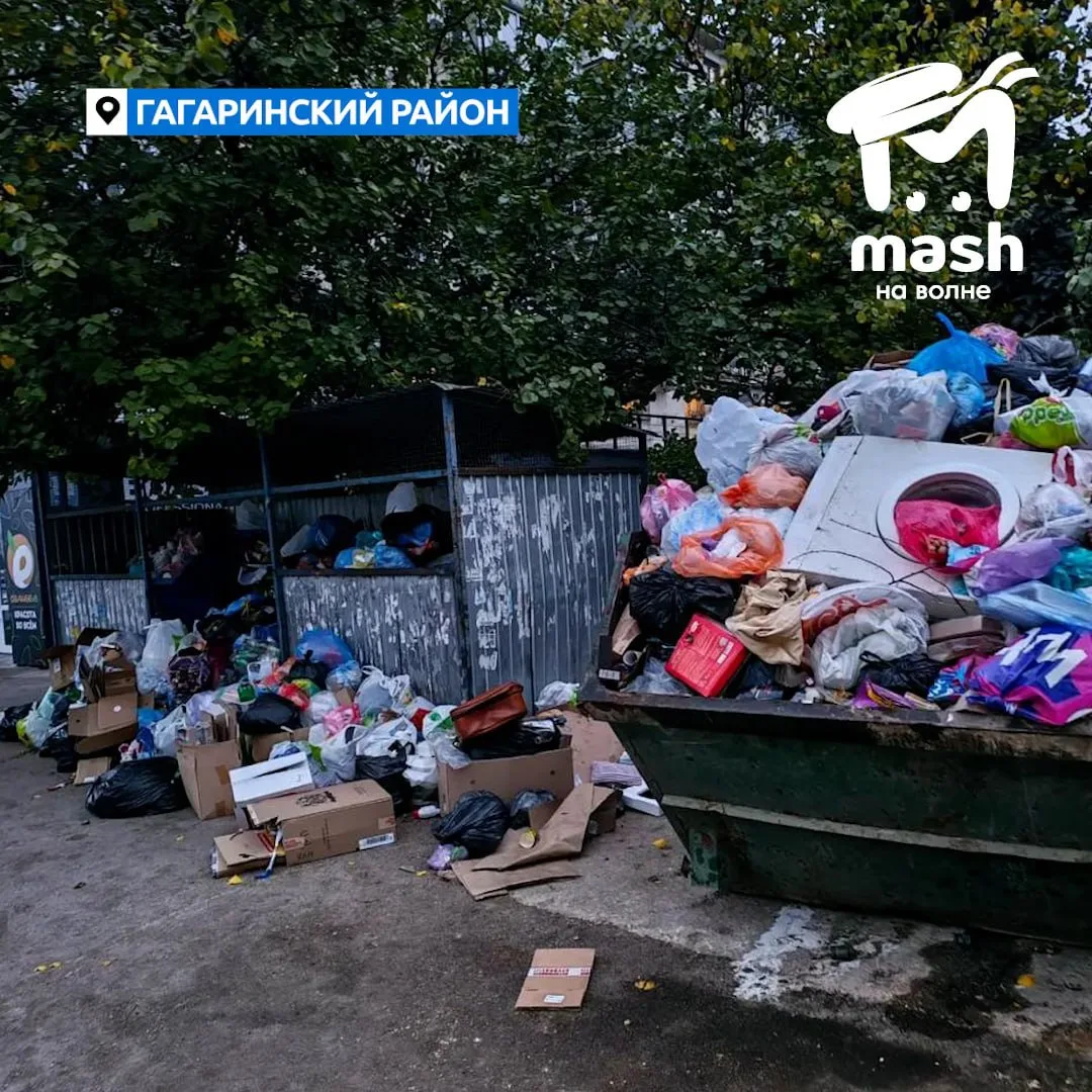 Мусорный коллапс случился в Севастополе. Отходы не вывозят и не будут вывозить, пока по...