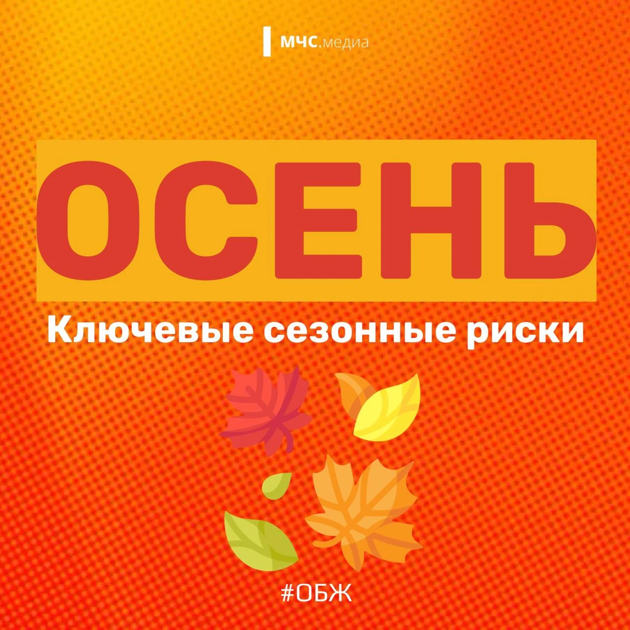 🍂 Осень – прекрасна и опасна