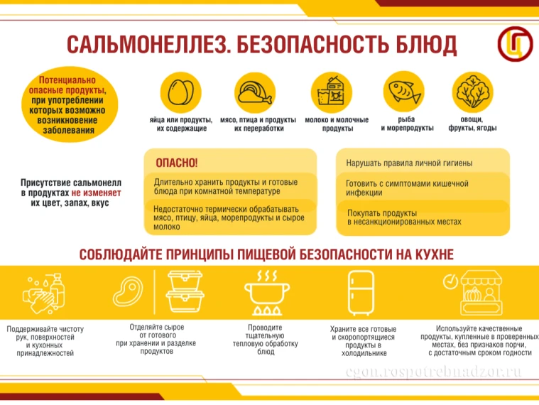 ели инфекции (когда человек является источником заражения для окружающих, но сам не бол...