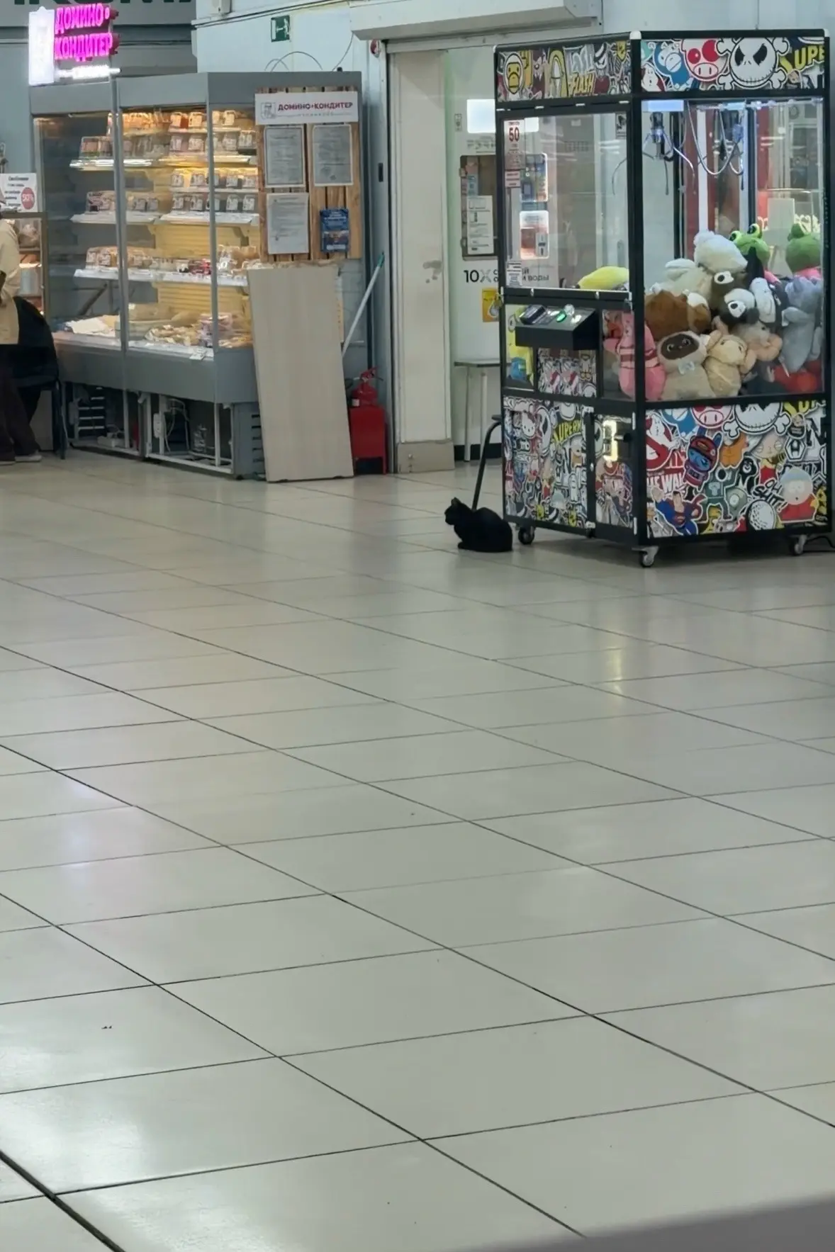 В поляне окатилась кошка,ее держат до понедельника,потом выставят на улицу