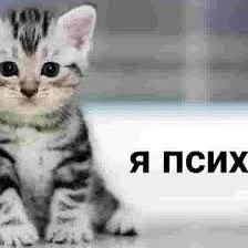 🥴 Всемирный день психического здоровья отмечается сегодня
