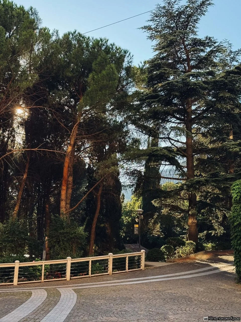 Крым🌲 🌊