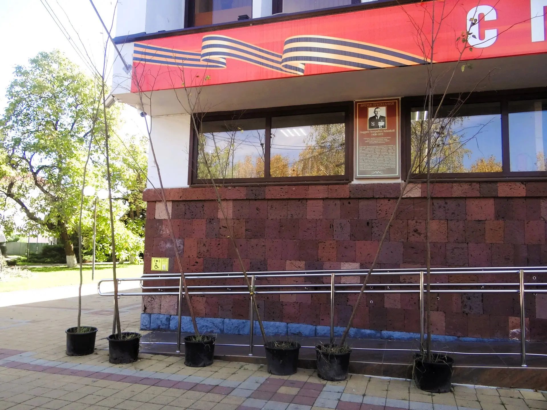 В скором времени наш любимый город Курганинск украсят шесть деревьев, шесть лип.