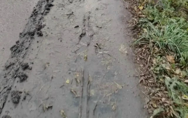 На улице Новой в Прокопьевске пешеходная дорожка полностью скрылась под слоем грязи. Жи...