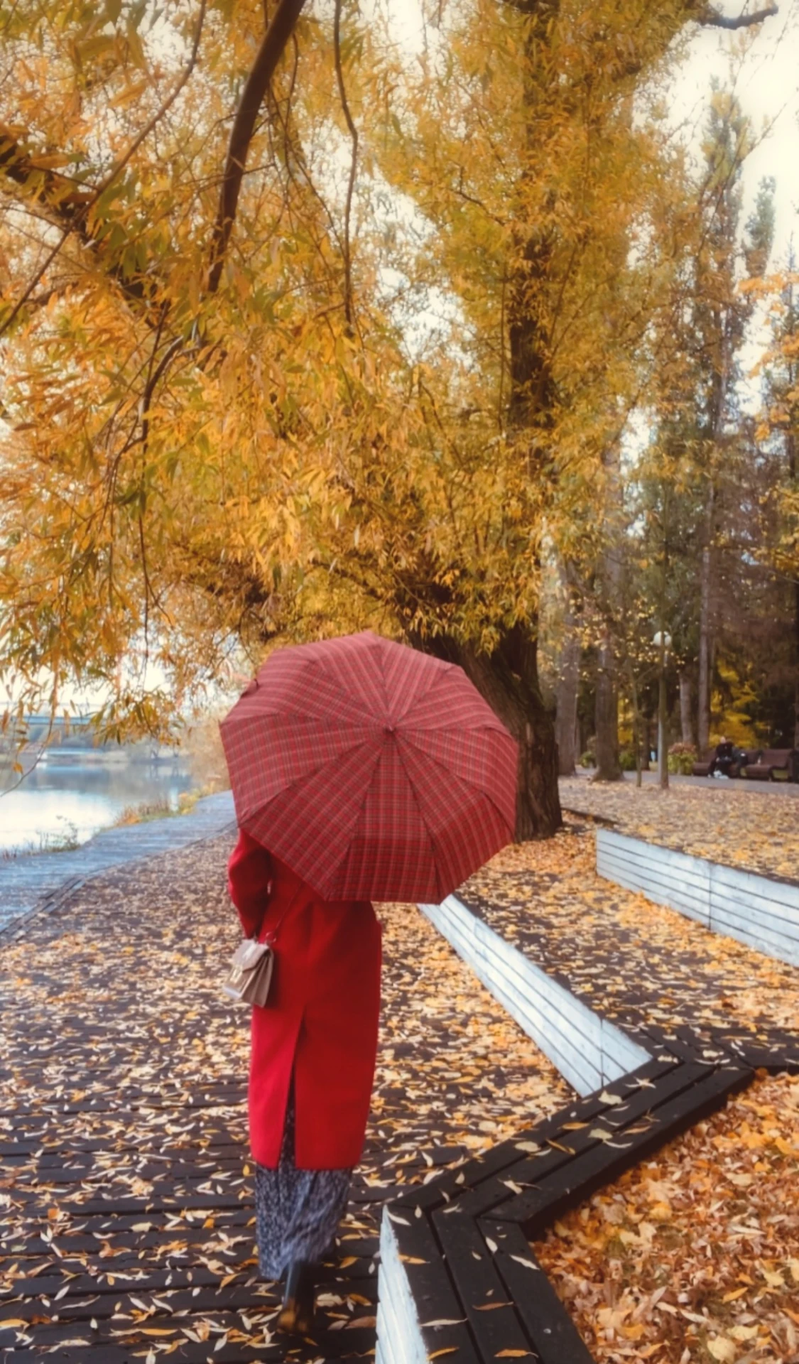 Прекрасная Белгородская осень 🥰