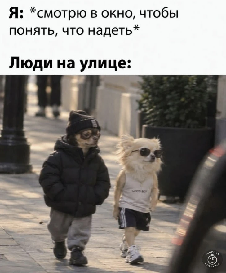Подпишись на юмор 😂