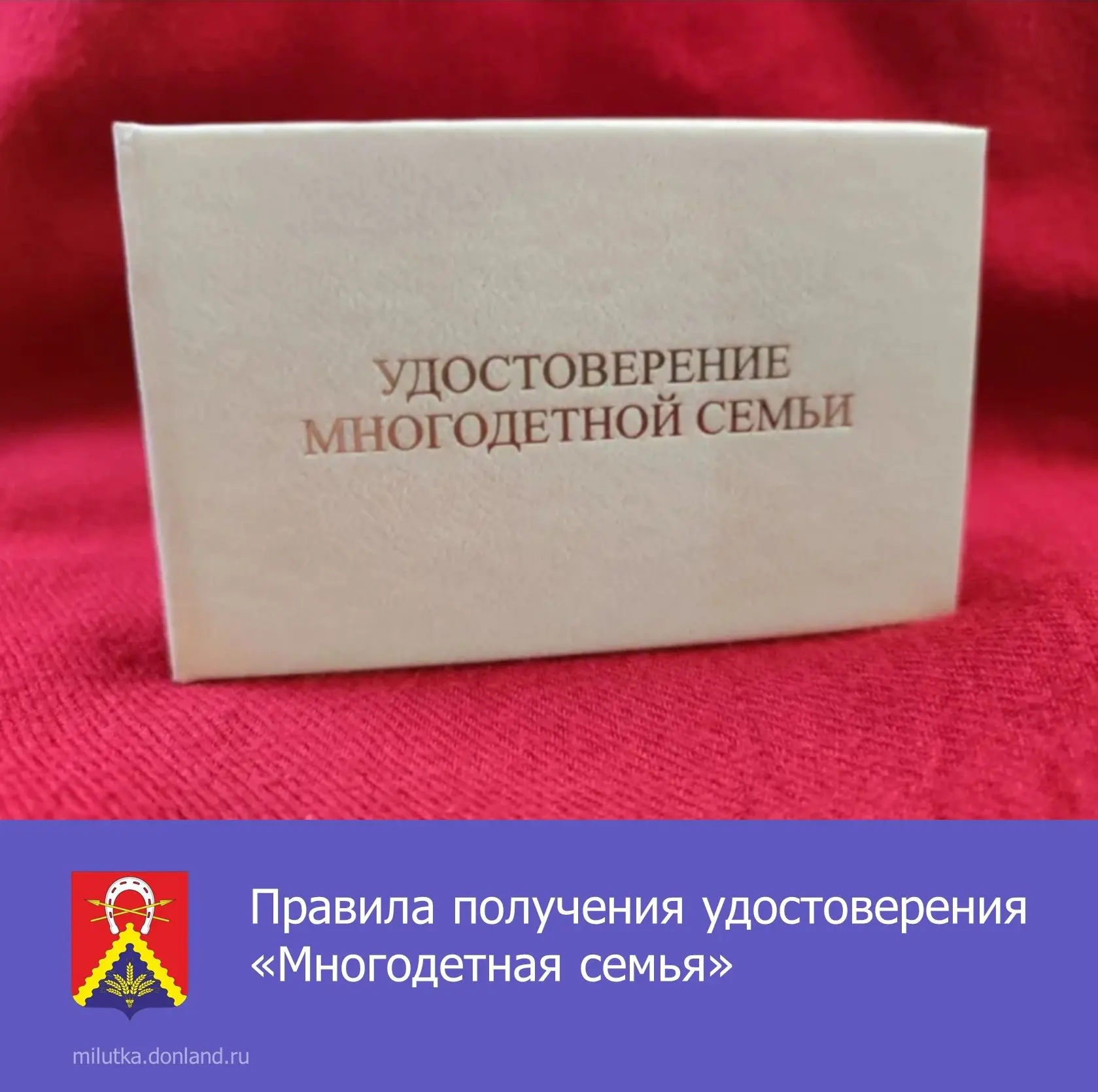 📢 Удостоверение «Многодетная семья» выдается одному из родителей, опекунов, попечителе...