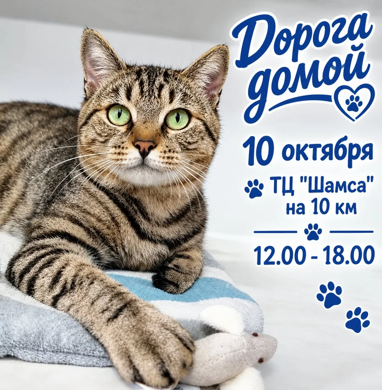 Друзья, у нас снова прекрасный повод встретиться!
