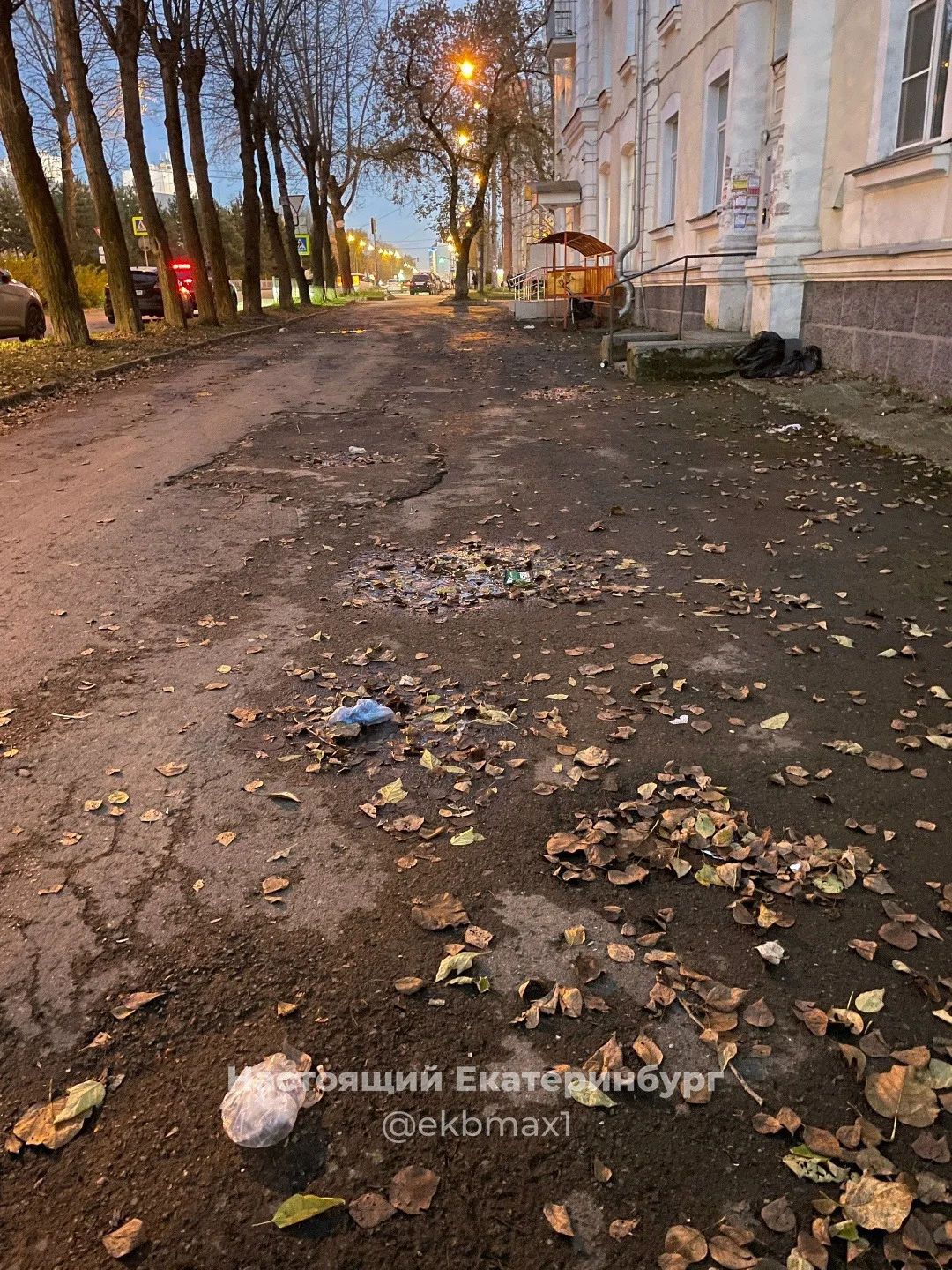 Возле детской поликлиники уже дня 4 не убирались! Опять дворников дождем смыло, видимо....
