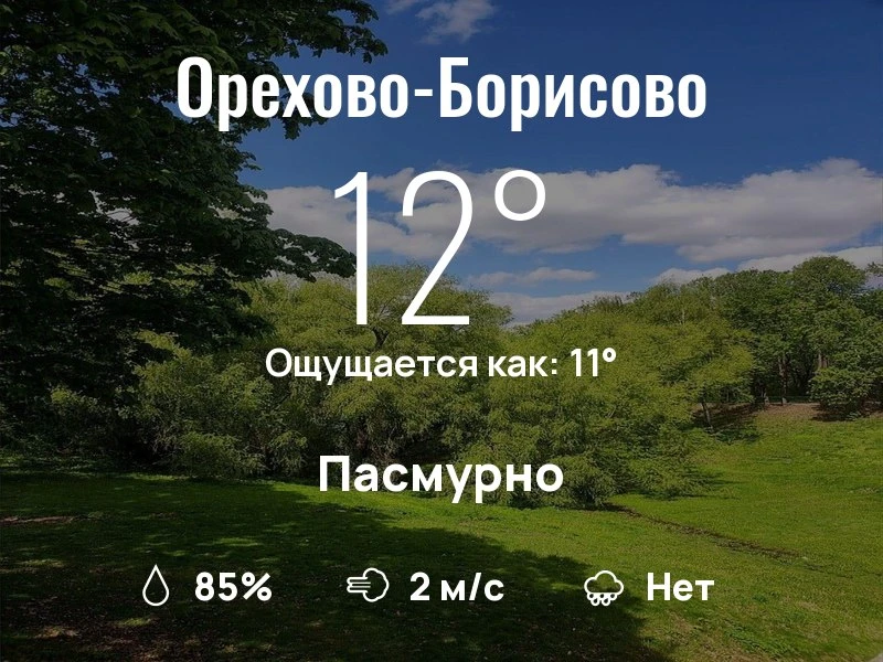 Что с погодой в Орехово-Борисово?