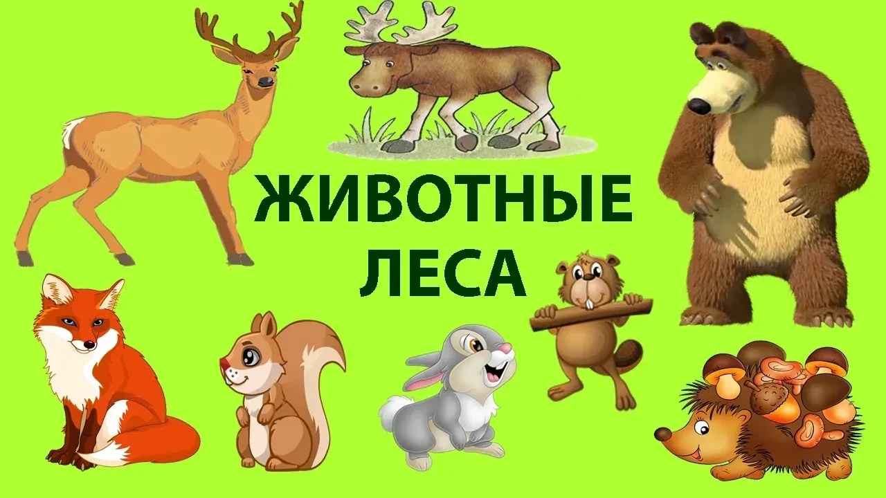📚🐾 Познавательное развитие во второй младшей группе: беседа о животных леса 🐿️🌲Сего...