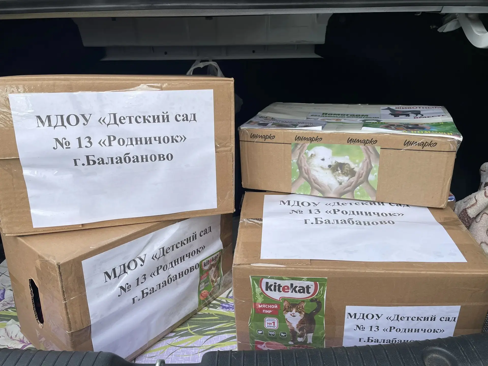 4 октября День защиты животных. Пусть это будет не просто дата, а повод сделать доброе ...