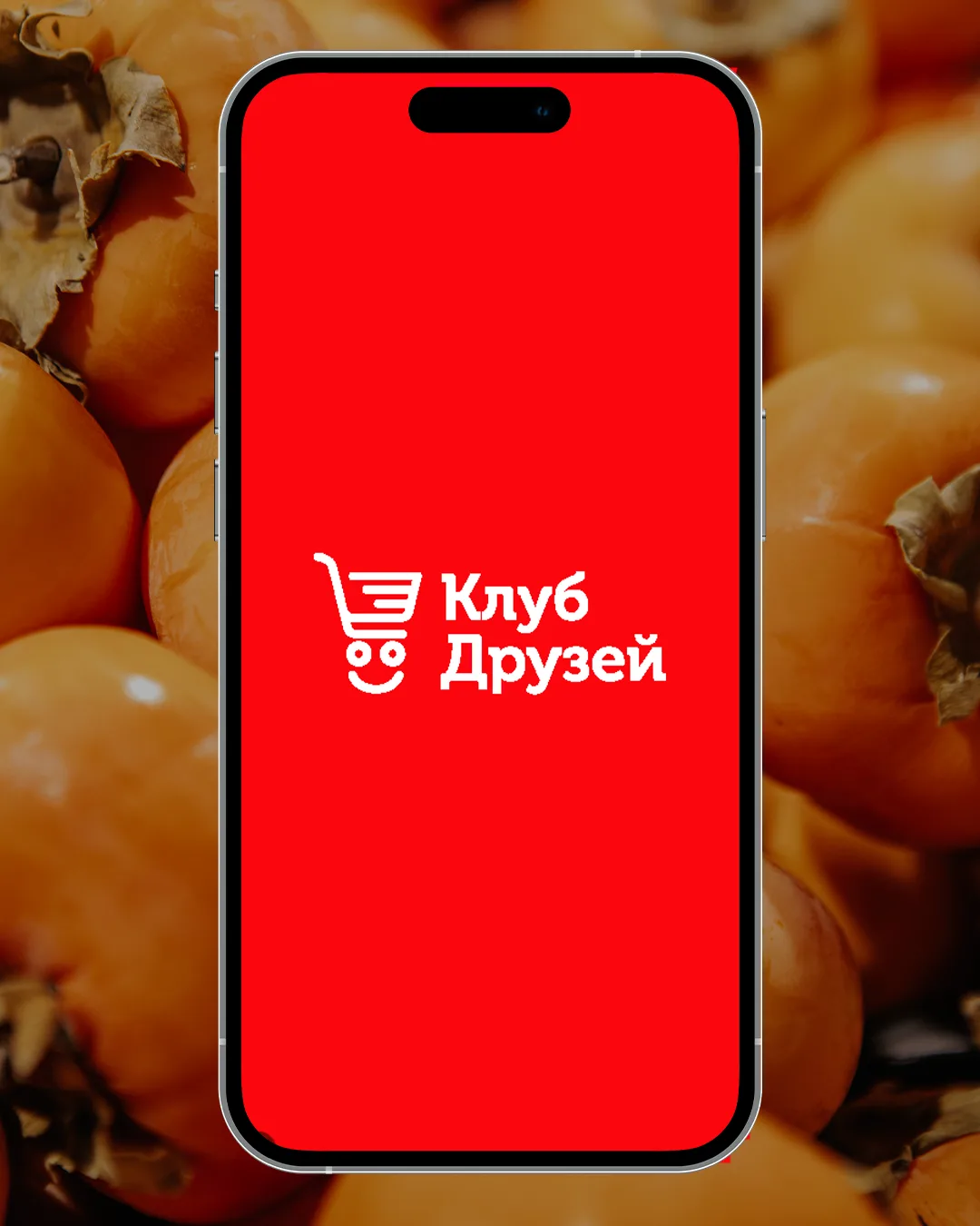 Уважаемые пользователи!