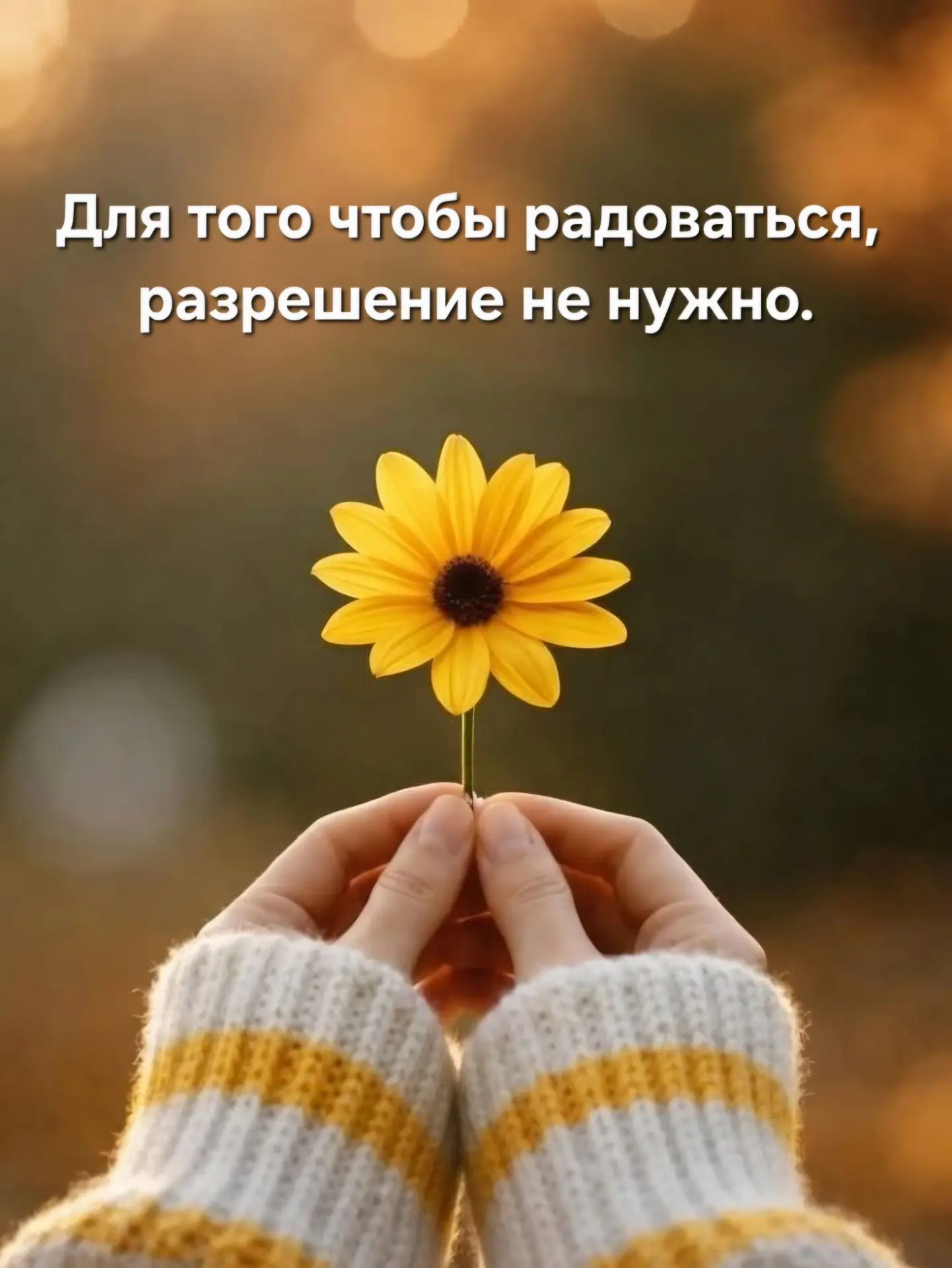 💫