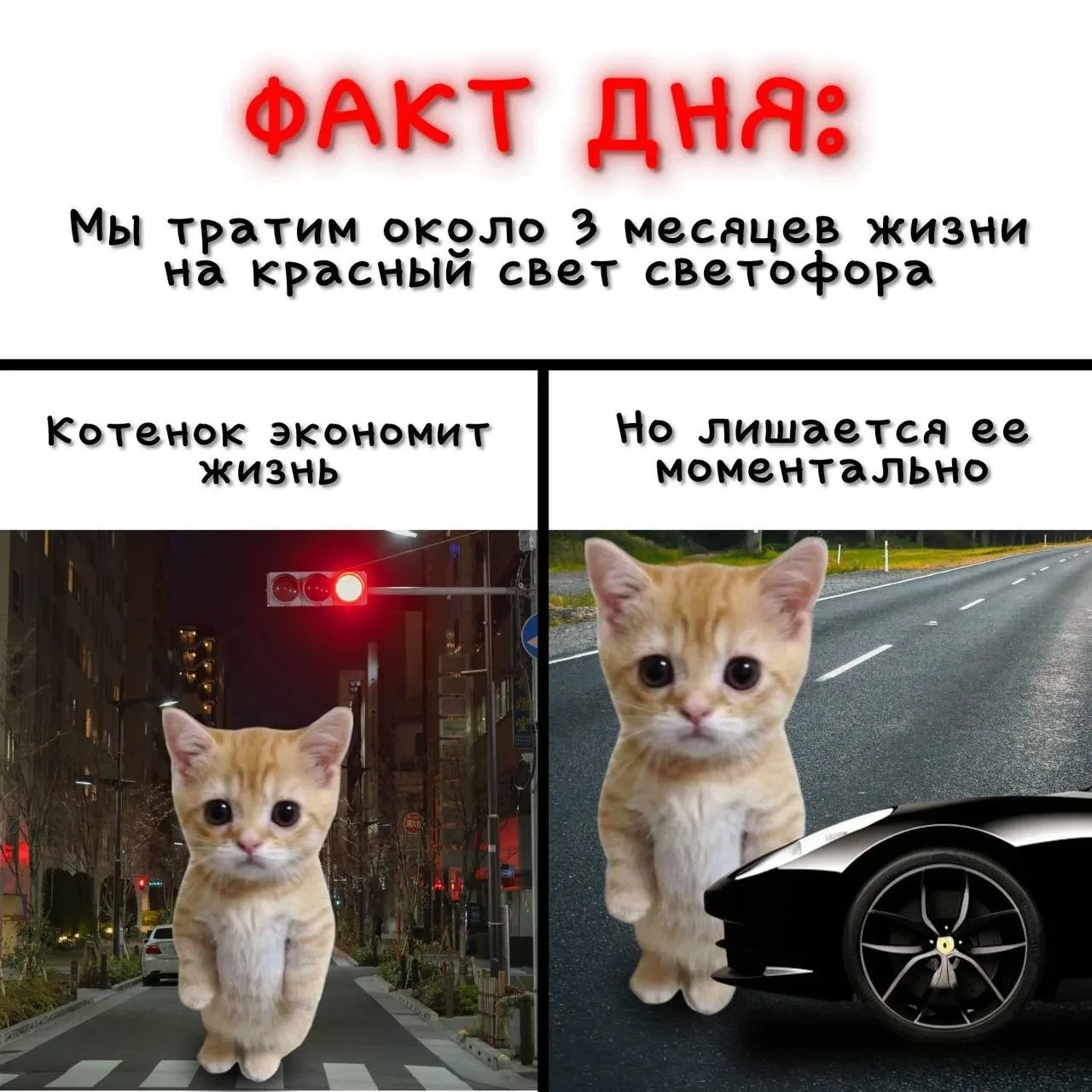 Не экономьте время на правилах! ☠️