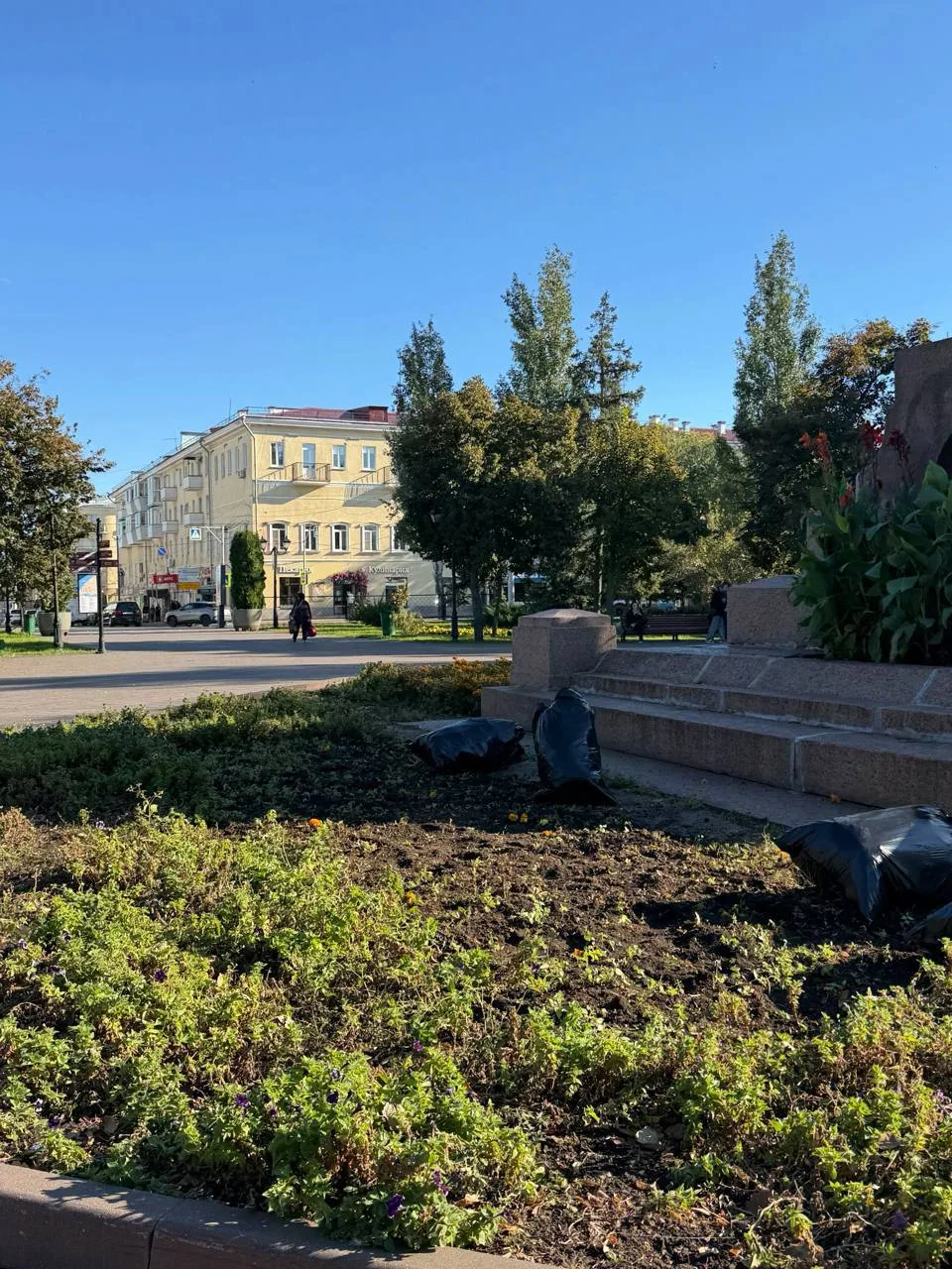 🌹 В Самаре на площади Революции убирают цветы