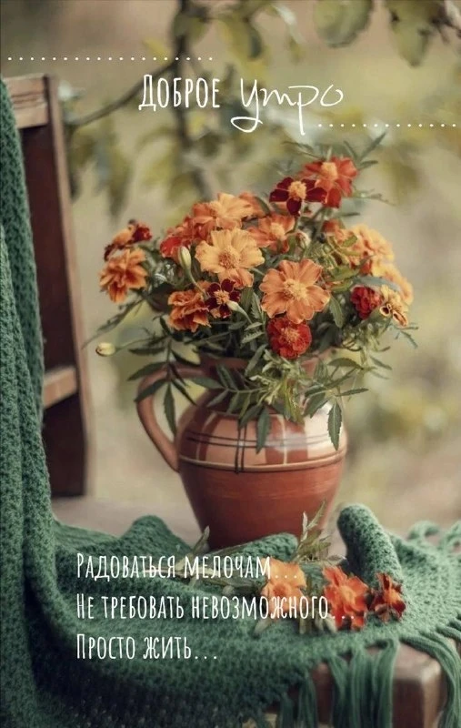 Открытки: подписаться ❤️
