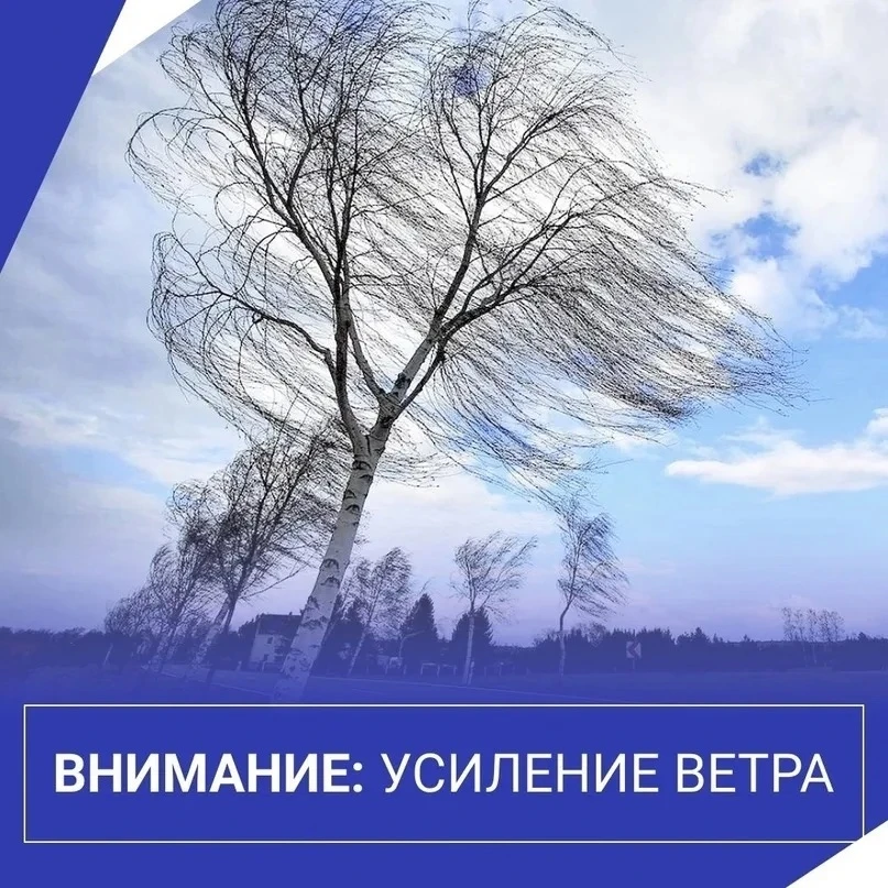 ⚠️ 🌬️Экстренное предупреждение: усиление ветра на юге Сахалина!