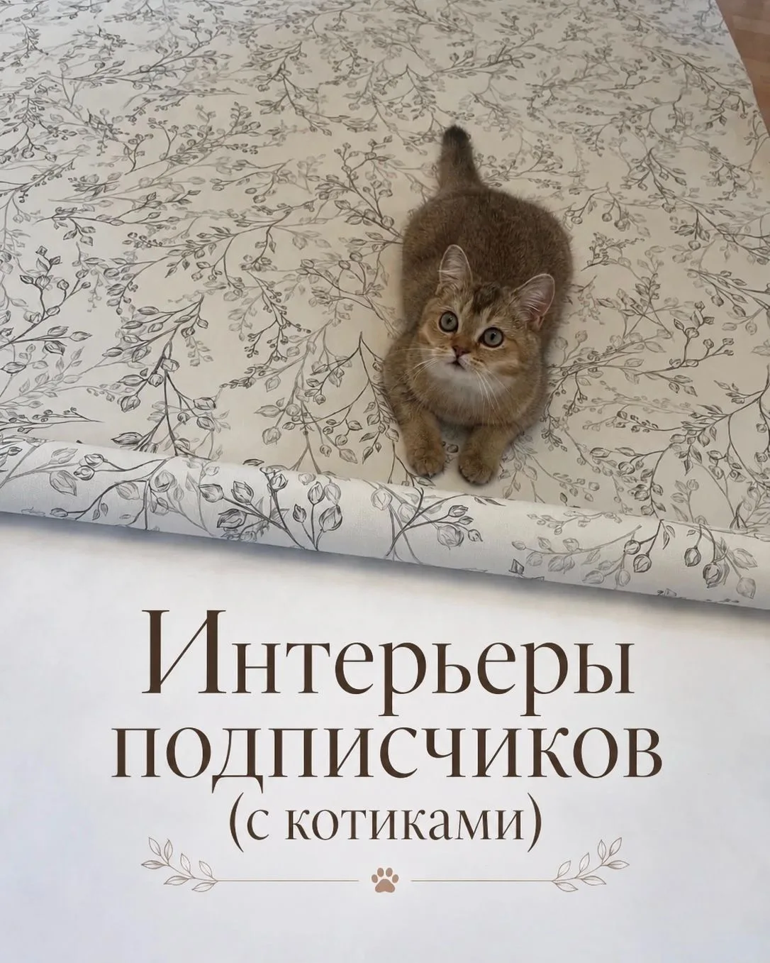 Нам приятно, что хозяева милых пушистиков выбирают «Обойкин»! Подборка интерьеров с обо...