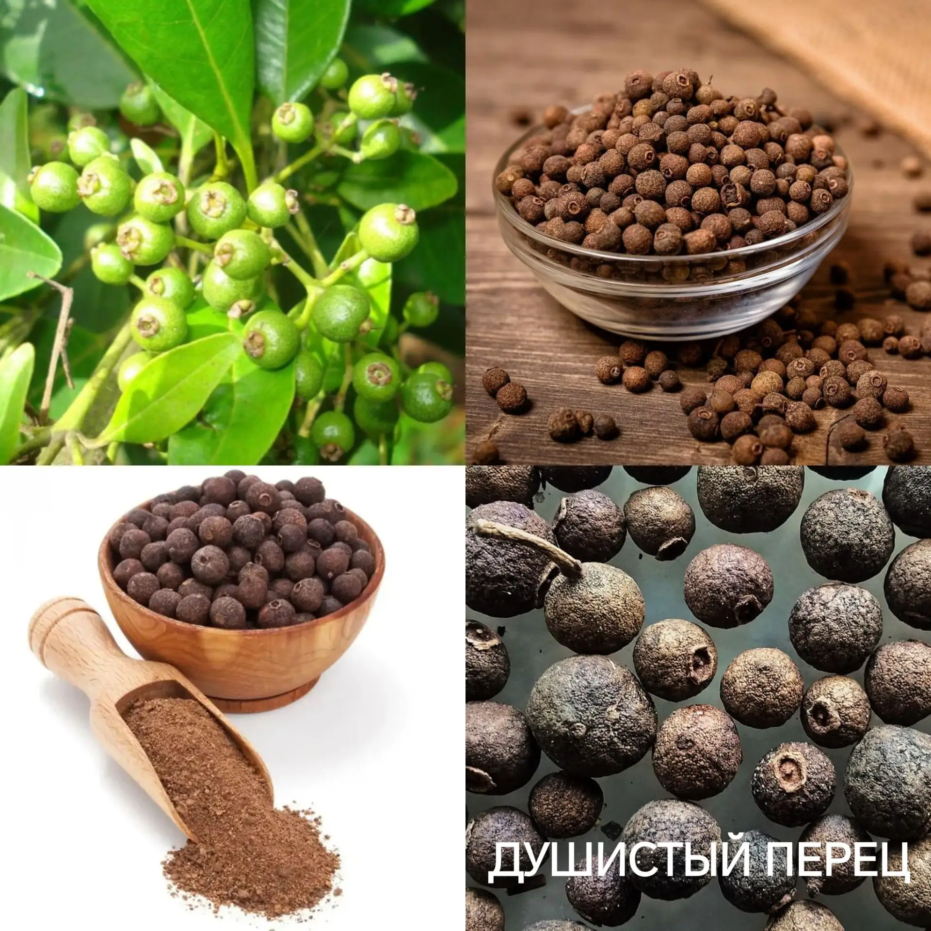 #ВкуснаяФлора