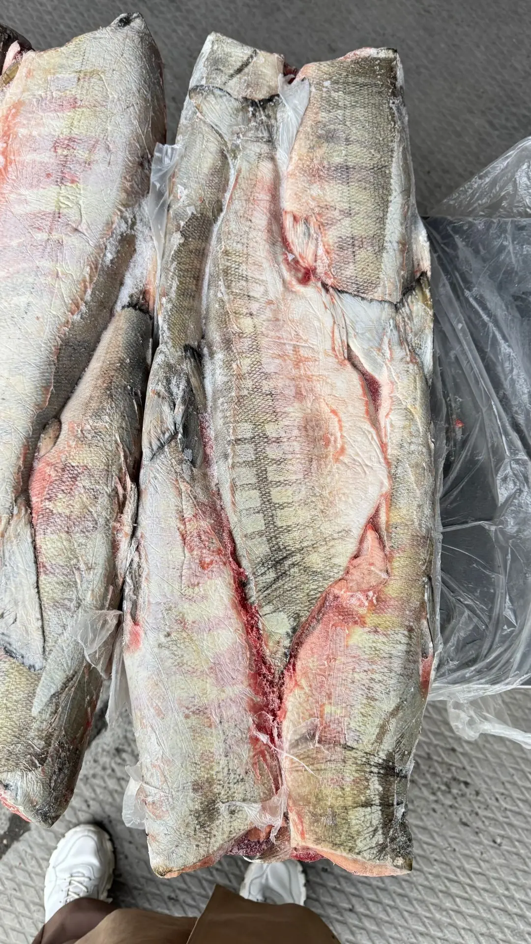 🐟 КЕТА ПБГ 1 сорт