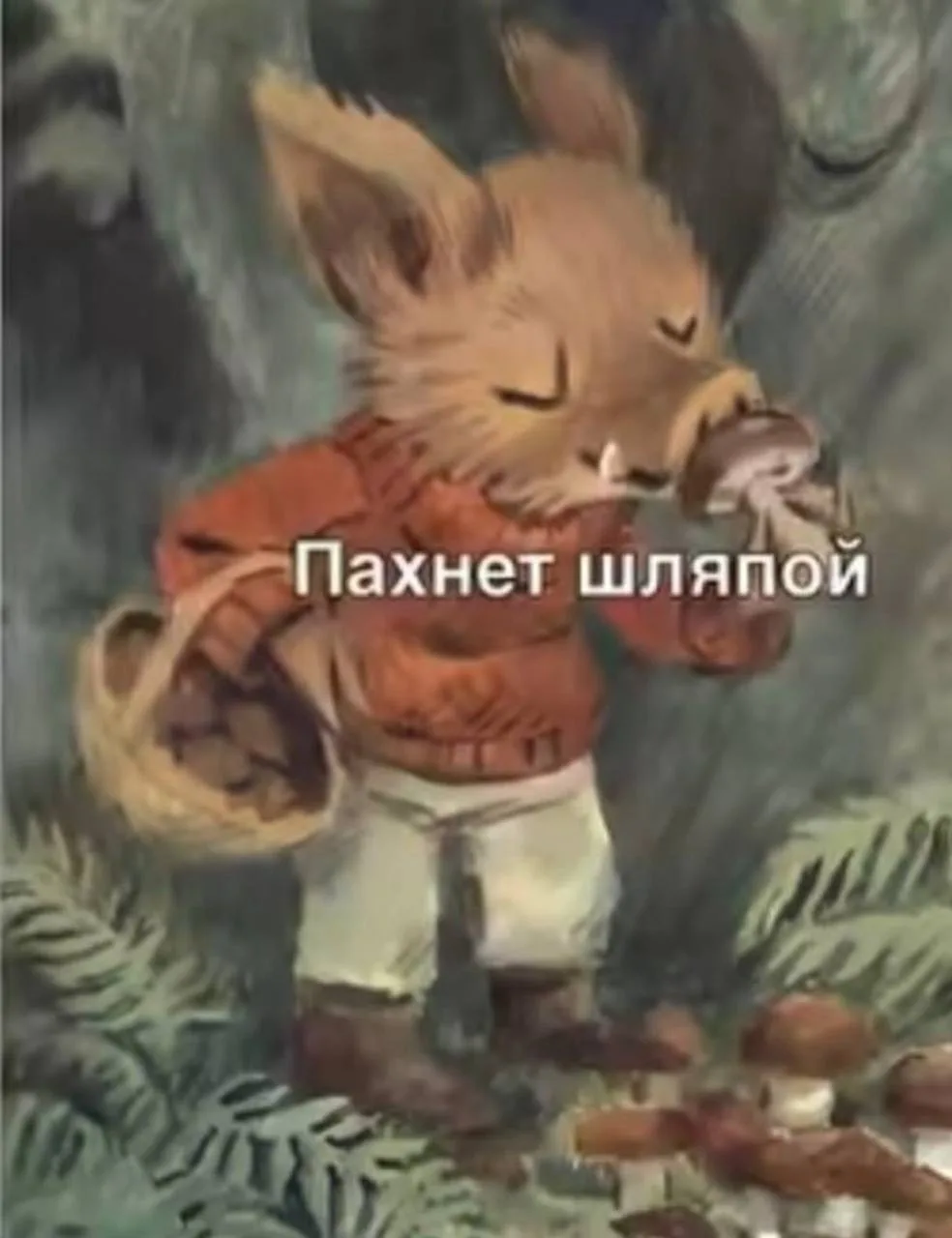 🟢Друзья в приграничье ночью в лесу нюхая шляпы, будьте аккуратны возможно это последня...