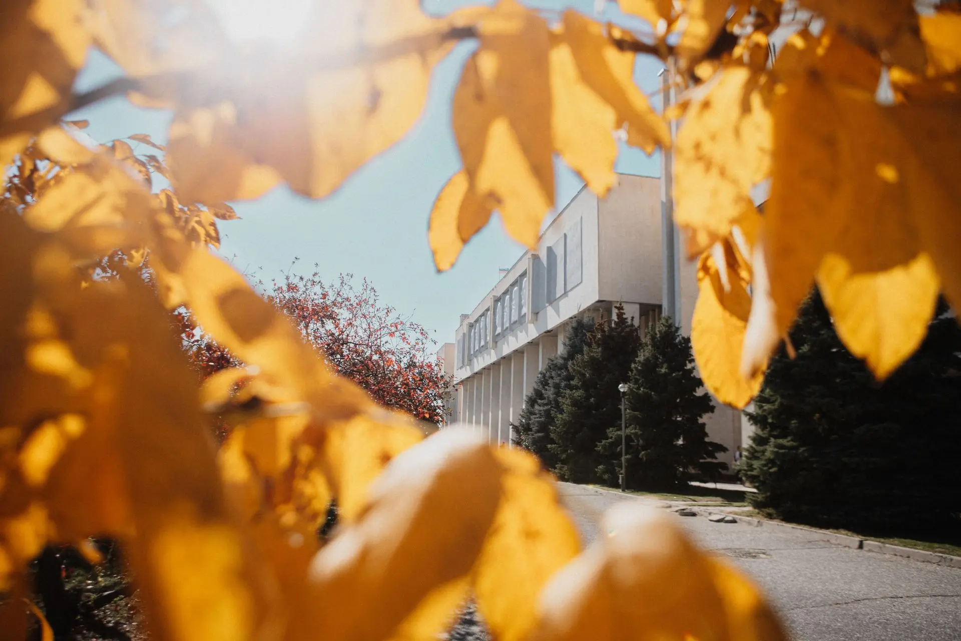 🍂Осенняя пора