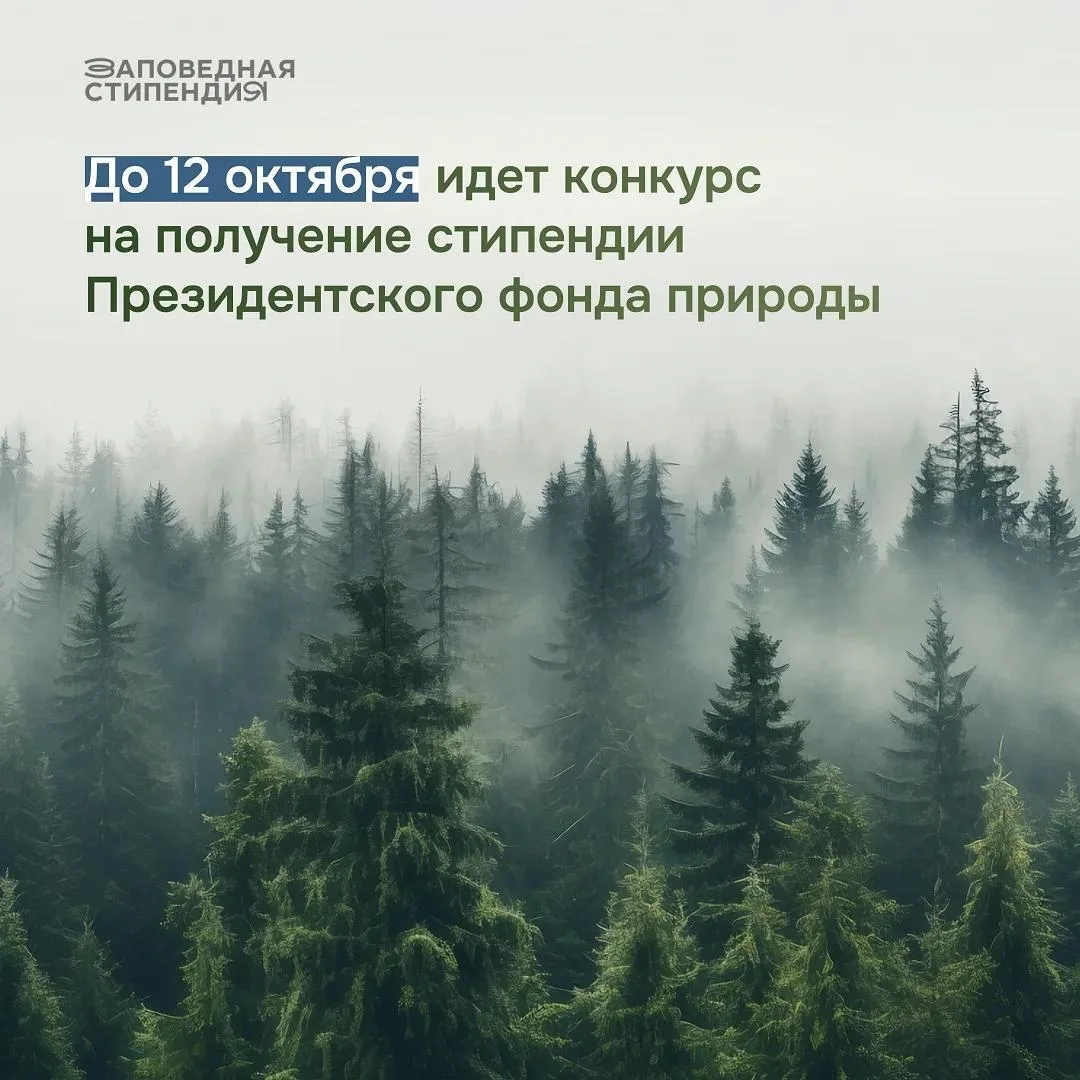 Уральцы могут побороться за стипендию Президентского фонда природы