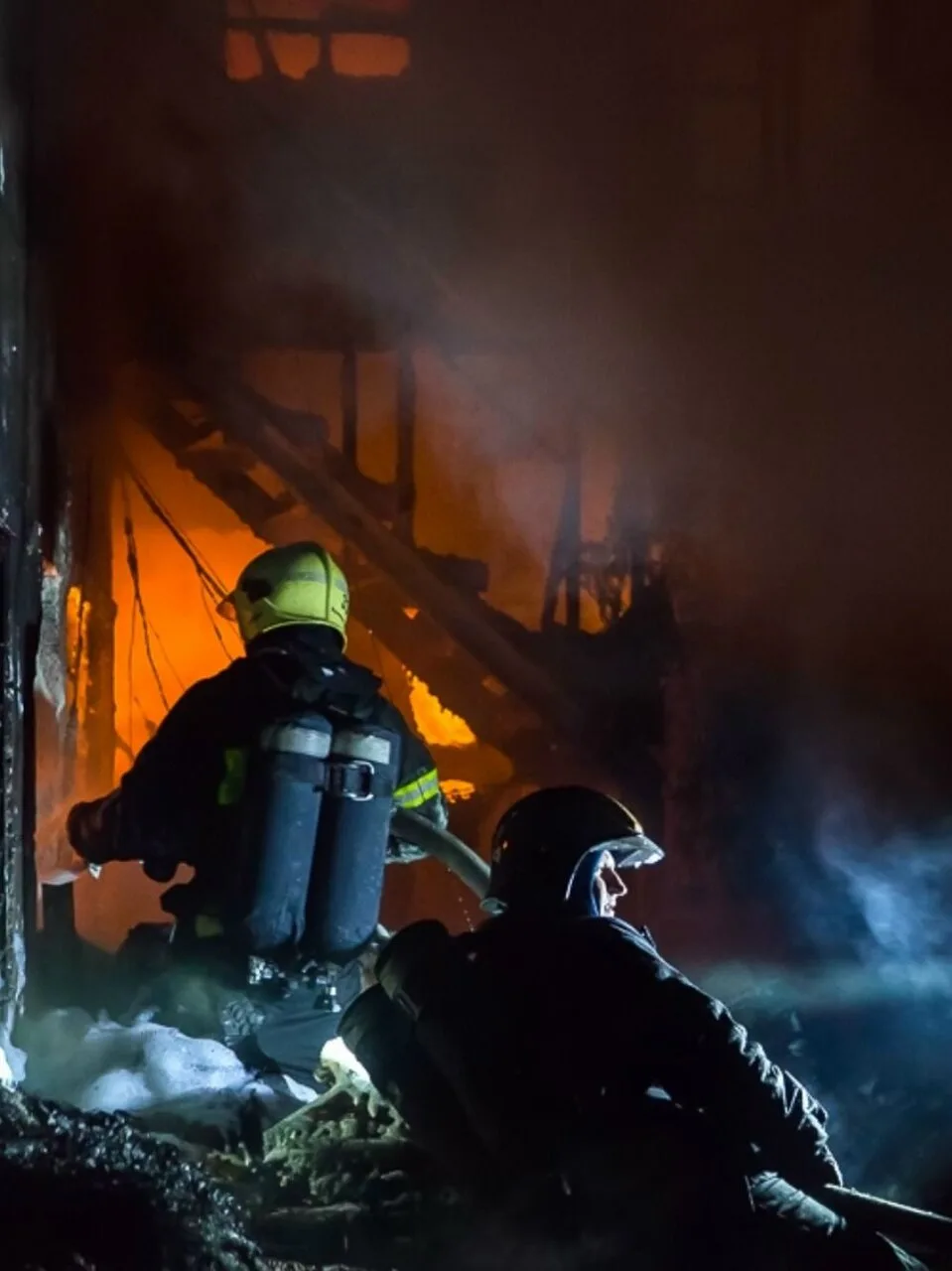 Пожар в Воронеже унес жизнь женщины