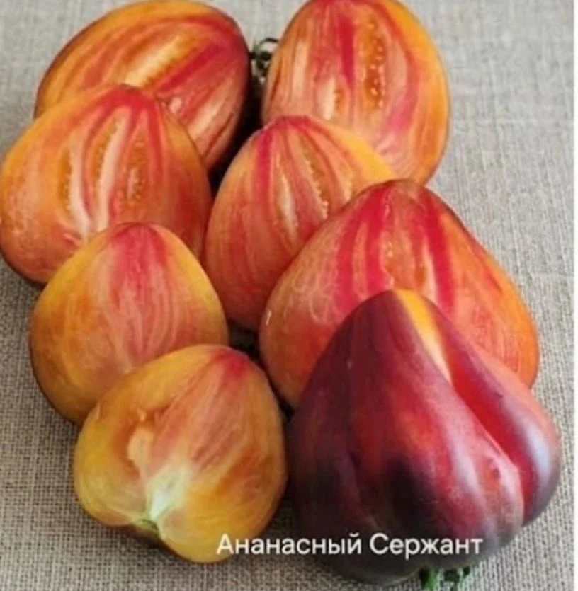 Подготовила для вас редчайший набор семян томатов селекции Софии Сааковой.