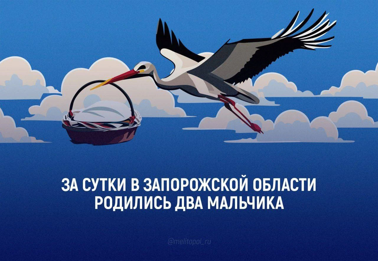 За сутки в Запорожской области родились два малыша