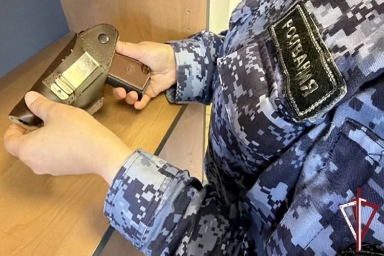 На Сахалине за неделю изъяли 13 единиц огнестрельного оружия. Итоги проверок подвели в ...