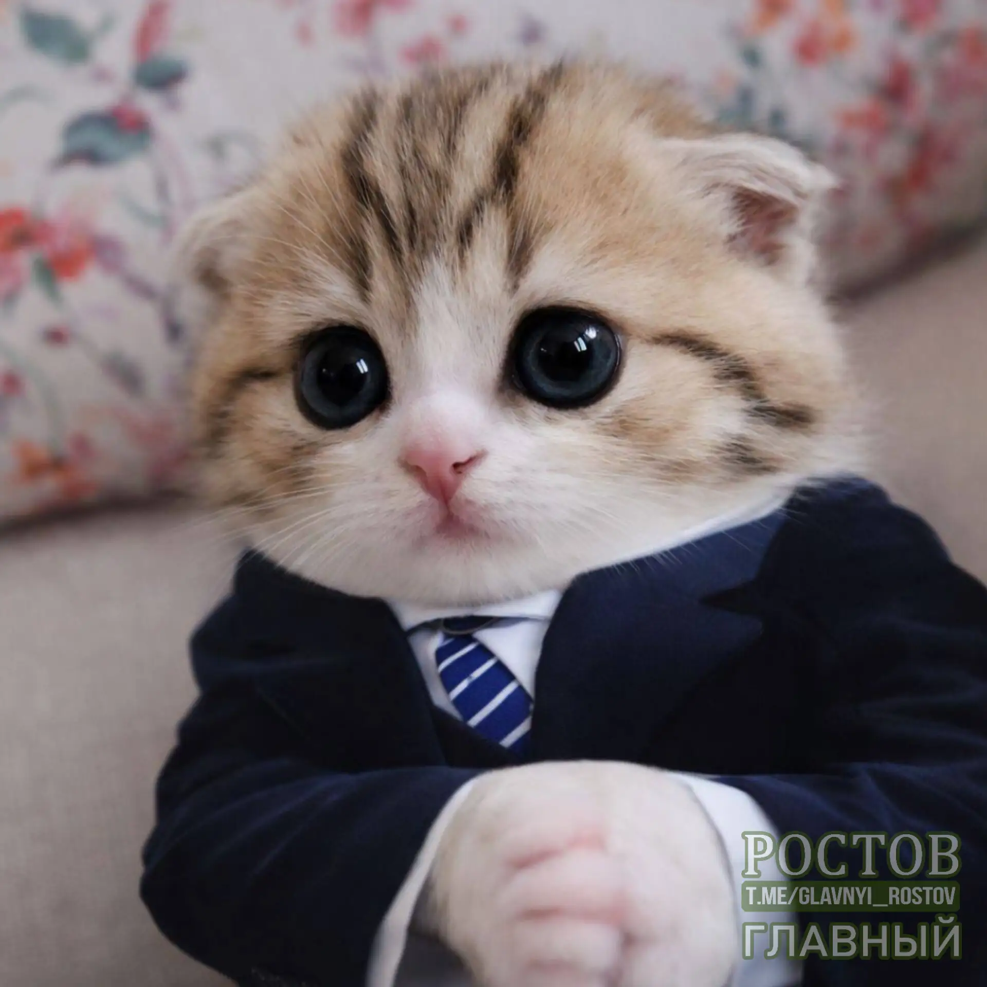 😎 Международный день босса отмечается сегодня.