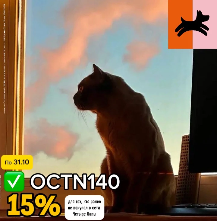 Скидка 15% в Четыре Лапы