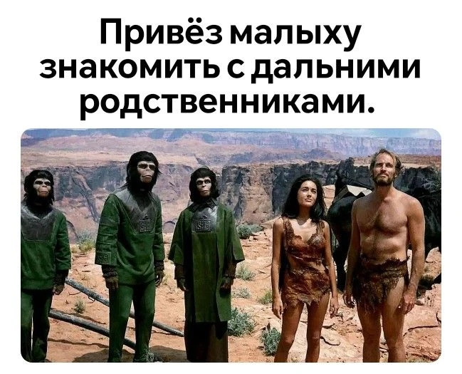 #мчп