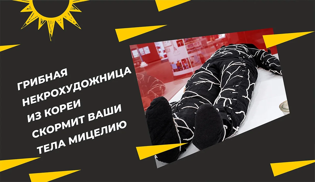 Споры со страницы «Подкорня» дотянулись до Кореи