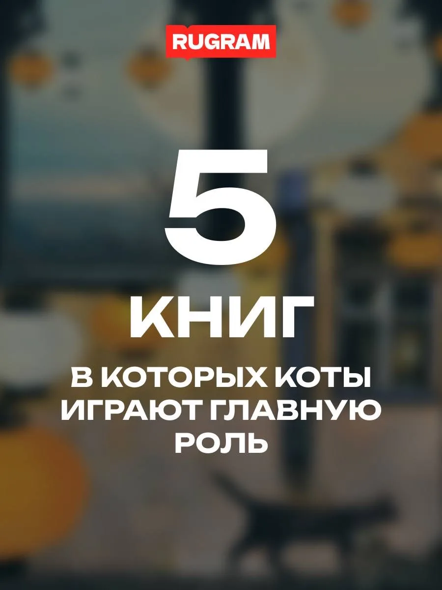 🐈‍⬛ 5 книг, в которых коты играют главную роль