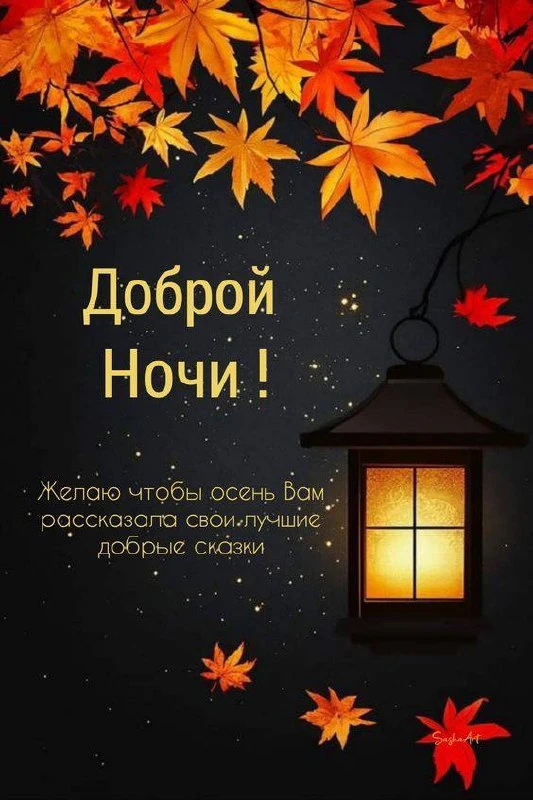 #спокойнойночи