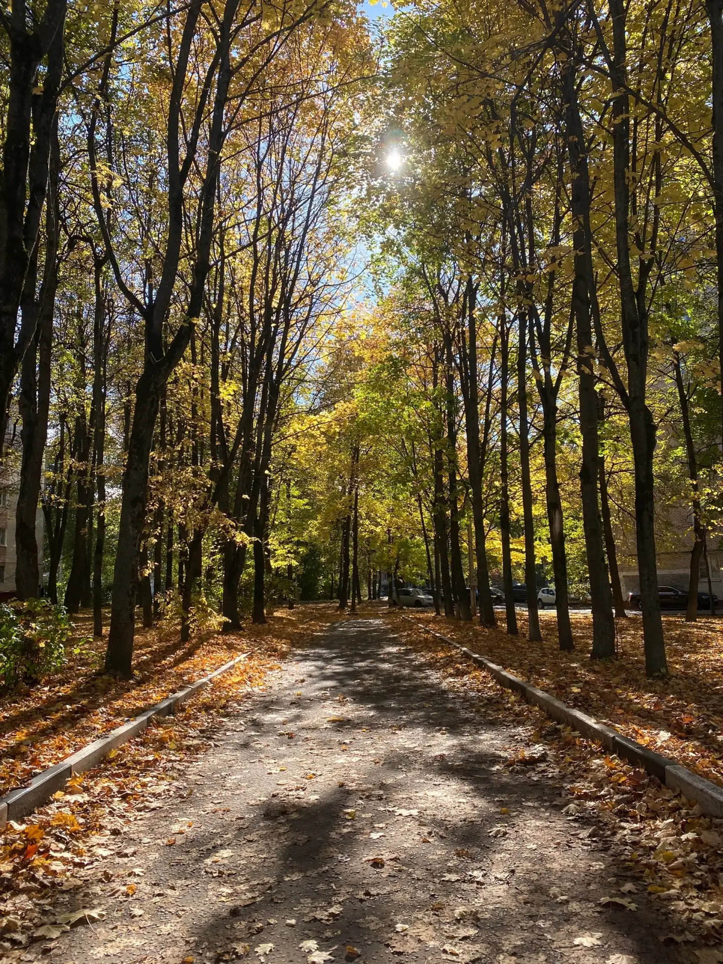 Осенняя атмосфера в авиагородке 🍂