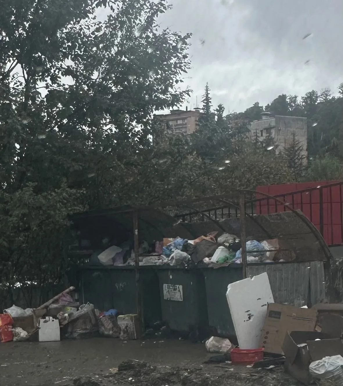 🗑 В Блиново снова растёт мусорная гора