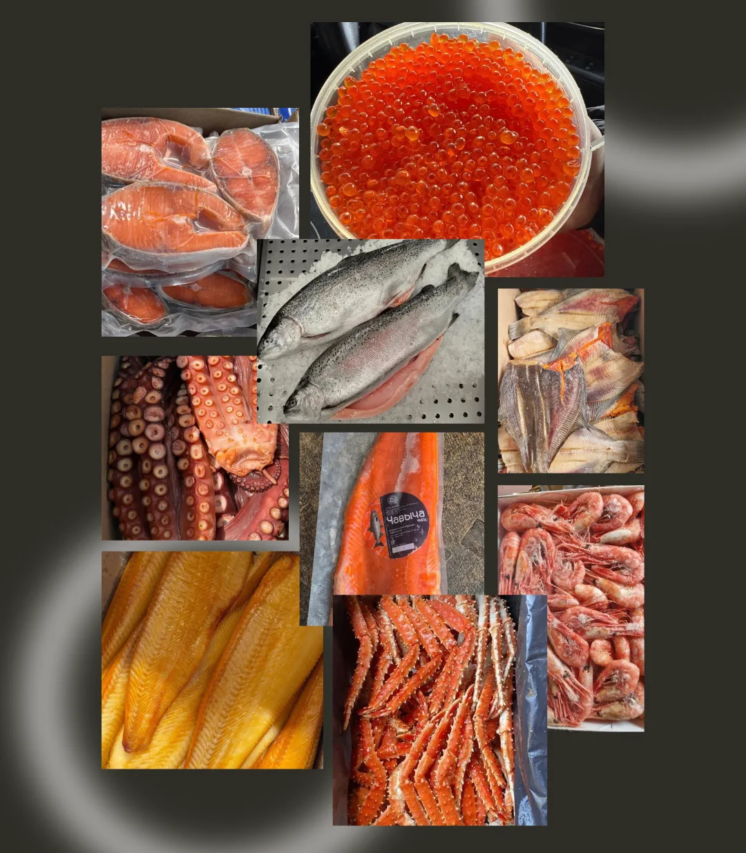 🐟🦐🦀