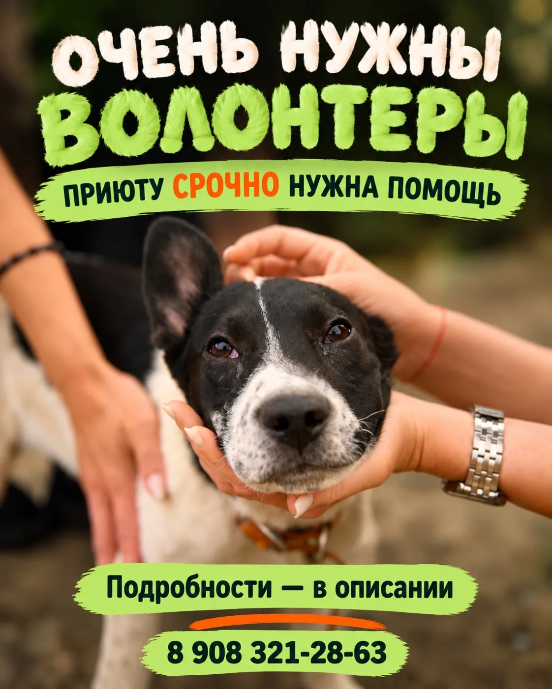 ДРУЗЬЯ, НАМ ОЧЕНЬ НУЖНЫ ВОЛОНТЁРЫ! 🥺