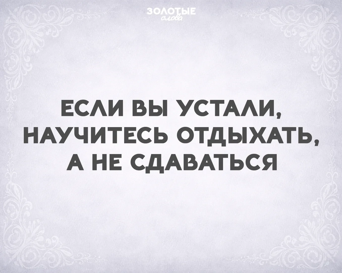 Золотые слова 📜