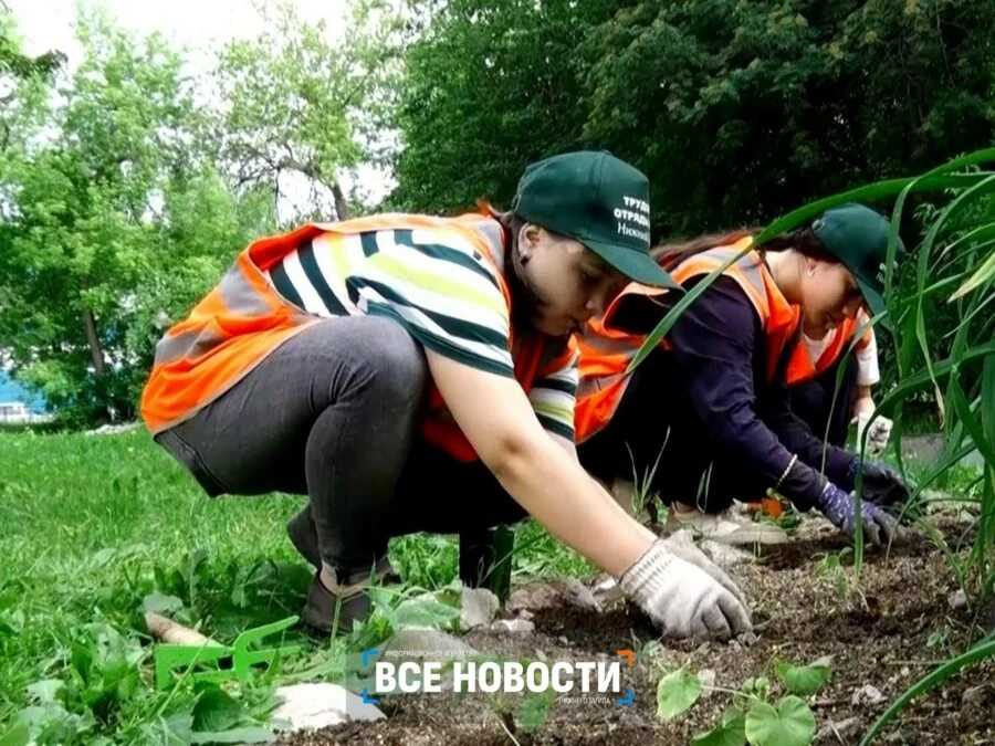 Подростков Нижнего Тагила не возьмут повторно в отряд мэра из-за больничных