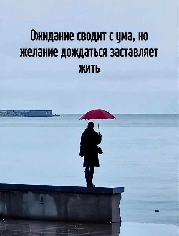 ✨Ждем ваши реакции✨