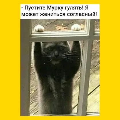 Полный Хохотамбл! Подпишись скорее