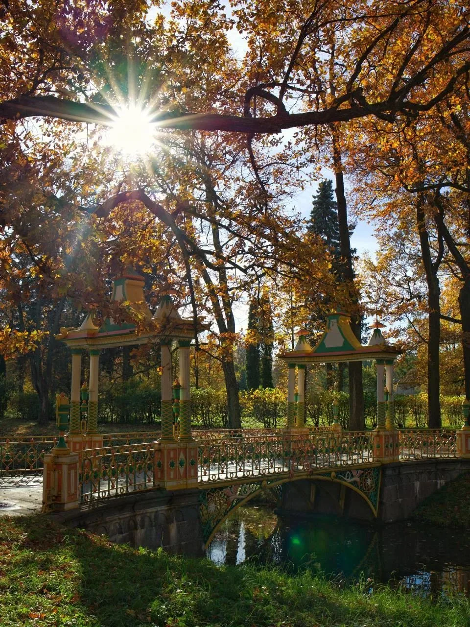 Осень в Александровском парке 🍃