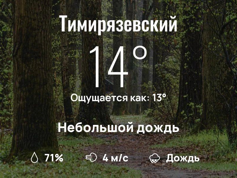 Что с погодой в Тимирязевском?